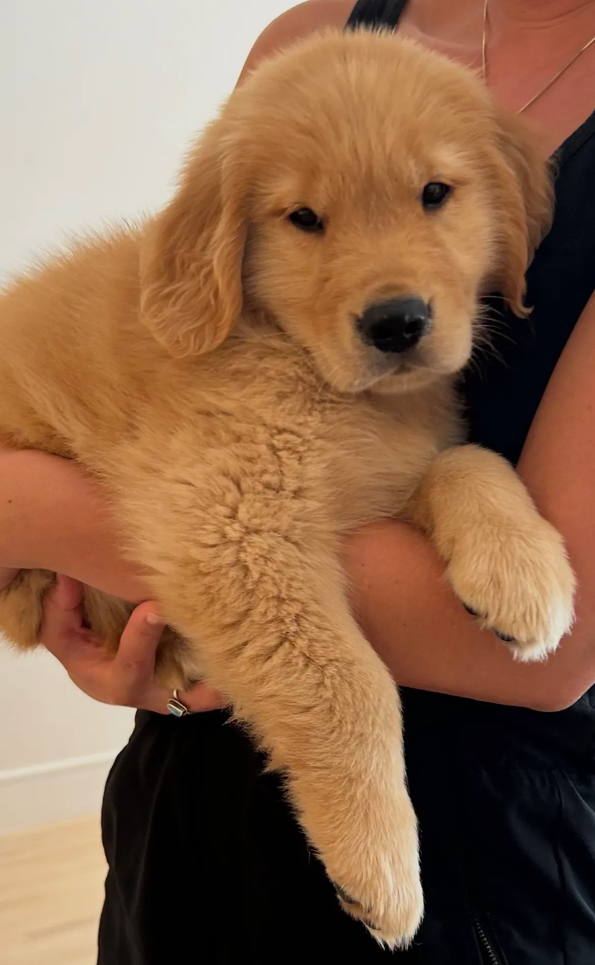 Humphrey