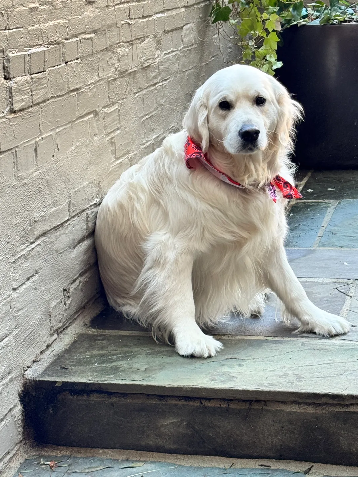 Bailey